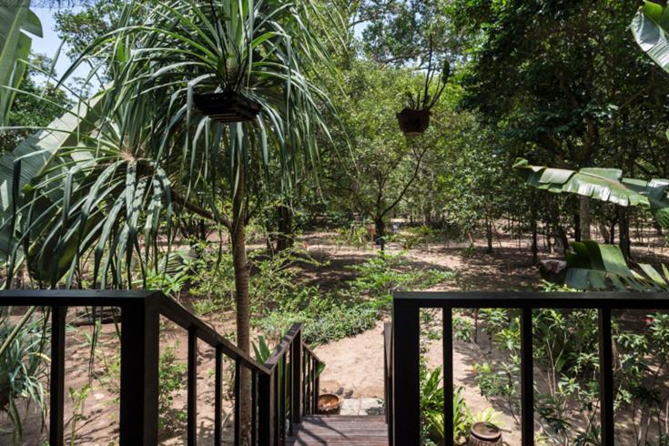 Baba Ecolodge Ko Phra Thong المظهر الخارجي الصورة